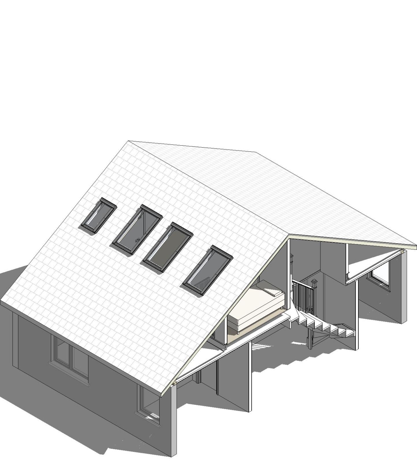 3D attic design — finished exterior with skylights